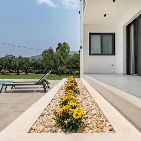 Zenith White Elegant 2 Καλπάκι